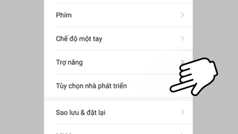 Tùy chọn nhà phát triển