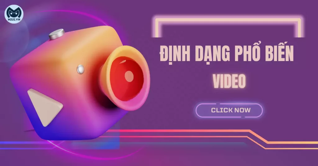 các định dạng video