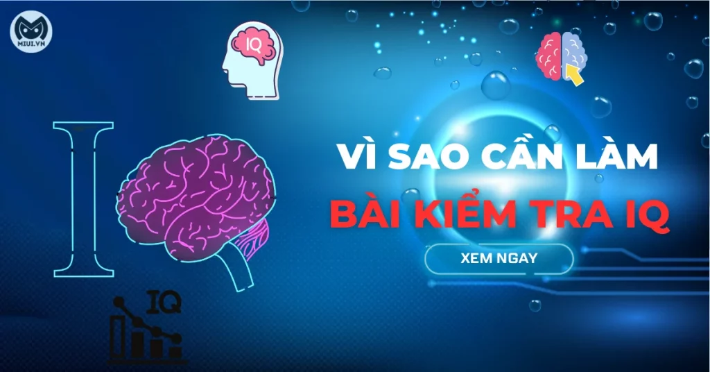 bài kiểm tra iq