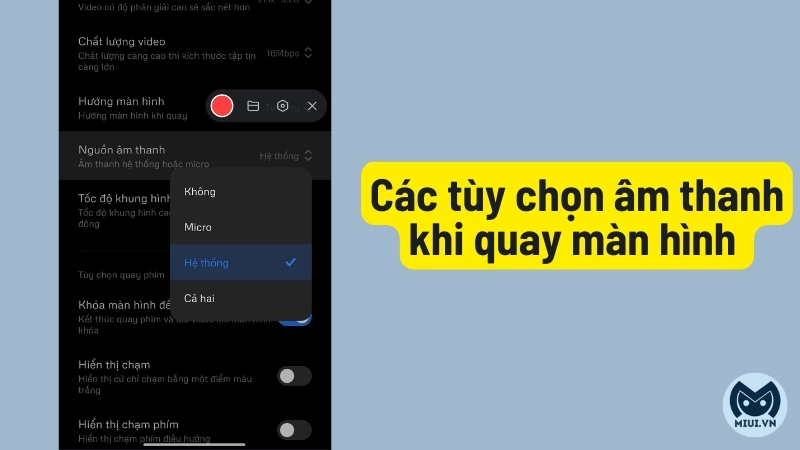 Các tùy chọn âm thanh khi quay màn hình